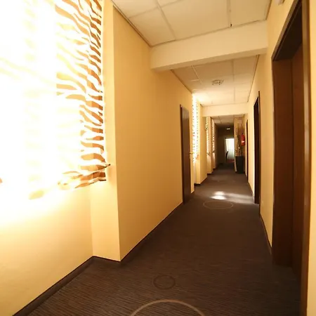 Partner Berliner Hof 3* كارلسروه