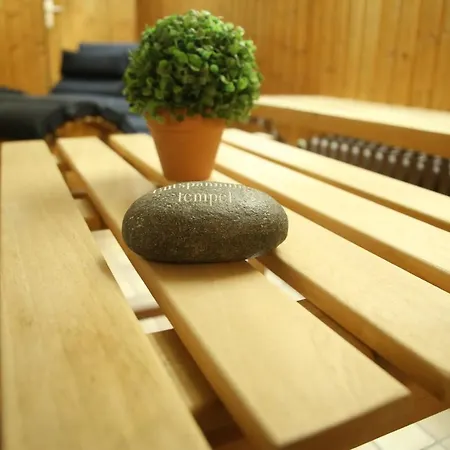 Partner Berliner Hof Hotell 3*