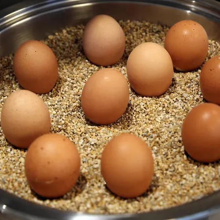 מלון Partner Berliner Hof